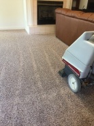Extraction Carpet Cleaning